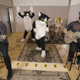 Illustration for article titled The Offspring cover Tiger King's "Here Kitty Kitty" with the help of some dancing furries